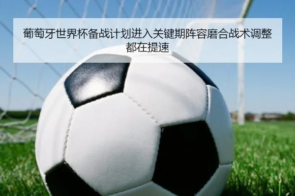 葡萄牙世界杯备战计划进入关键期阵容磨合战术调整都在提速